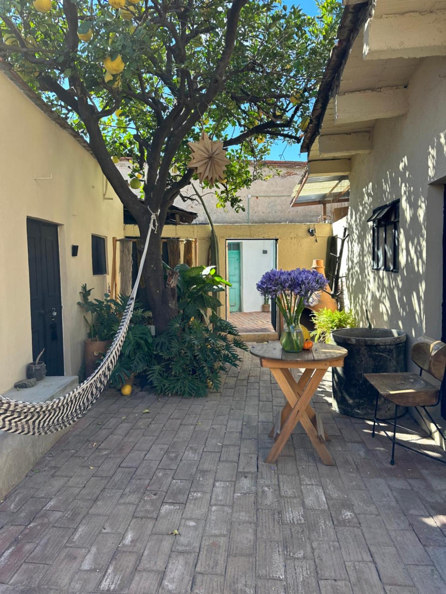 509 Oaxaca