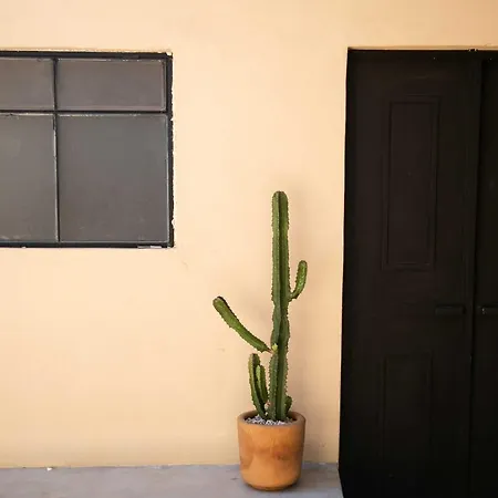 509 Accommodation Oaxaca Exterior photo